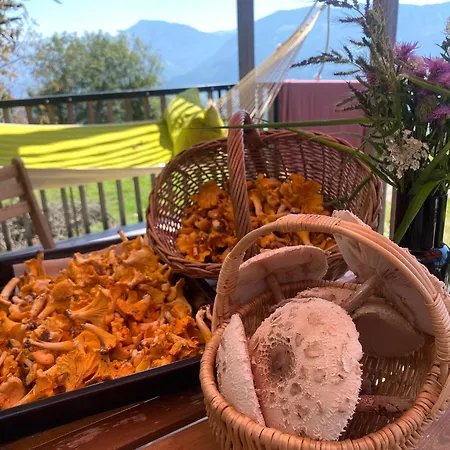 Rosenholz Ferienhaeuser Chalet