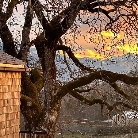 Chalet Rosenholz Ferienhaeuser