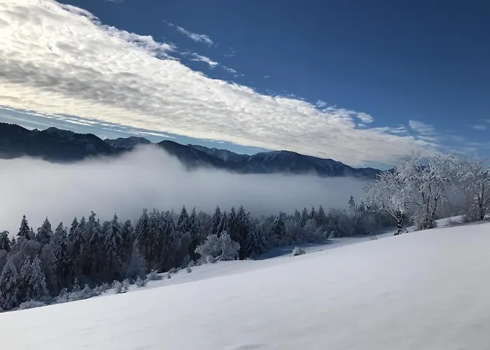 בקתה Rosenholz Ferienhaeuser Kottmannsdorf