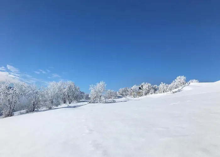 Rosenholz Ferienhaeuser Kottmannsdorf