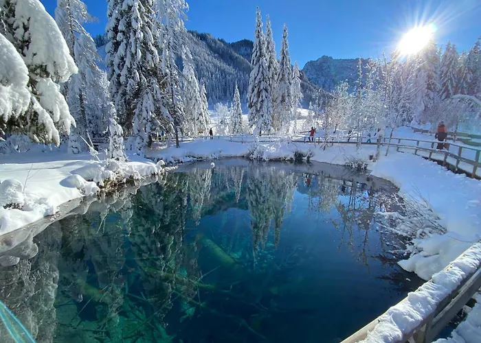 Chalet Rosenholz Ferienhaeuser