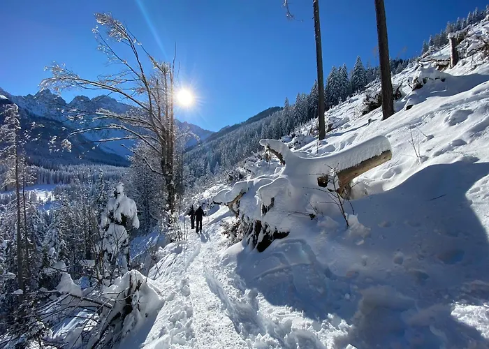 Rosenholz Ferienhaeuser