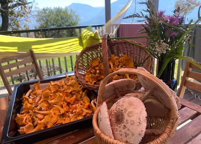 Rosenholz Ferienhaeuser Chalet