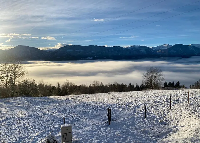 Chalet Rosenholz Ferienhaeuser