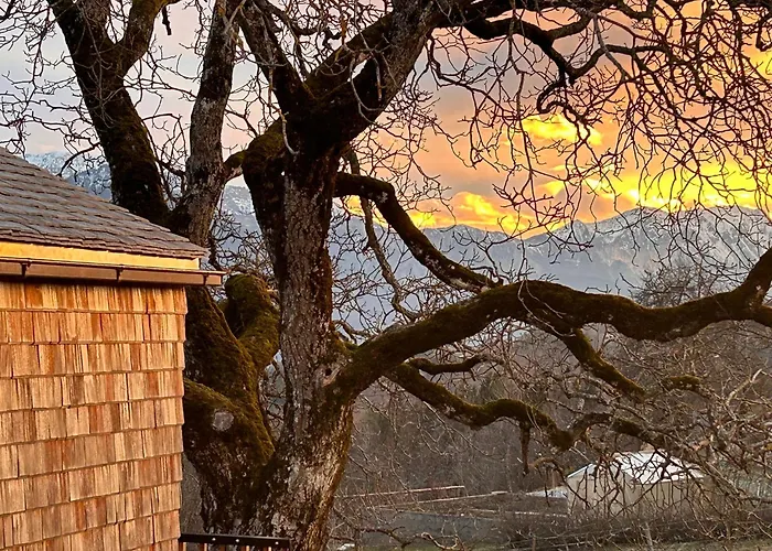 בקתה Rosenholz Ferienhaeuser